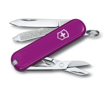 Logotrade Firmengeschenke das Foto: Taschenmesser CLASSIC SD Victorinox