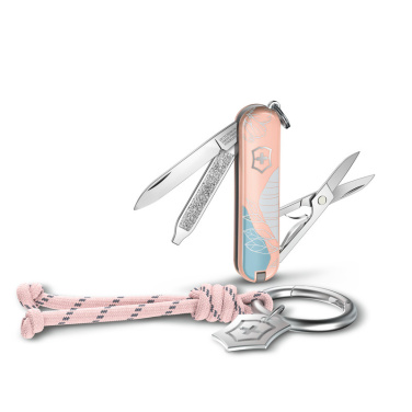 Logotrade Werbegeschenke das Foto: Victorinox Taschenmesser Classic SD, 58 mm, Celidor, Paris Style