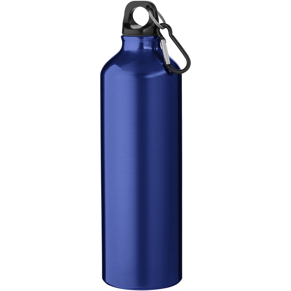 Logo trade promotional merchandise photo of: Oregon 770 ml aluminium water bottle with carabiner