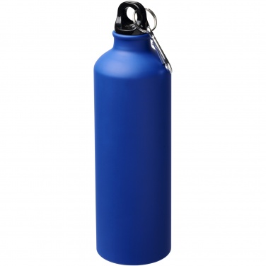 Logo trade promotional merchandise picture of: Oregon 770 ml matte water bottle with carabiner