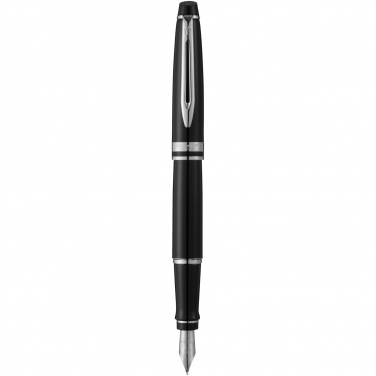 Logotrade promotional item picture of: Waterman Expert fountain pen