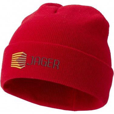 Logotrade promotional giveaway image of: Irwin beanie