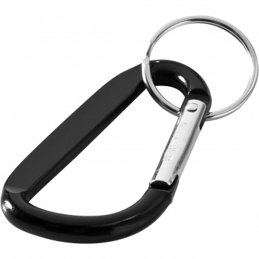 Logotrade promotional gift image of: Timor carabiner keychain