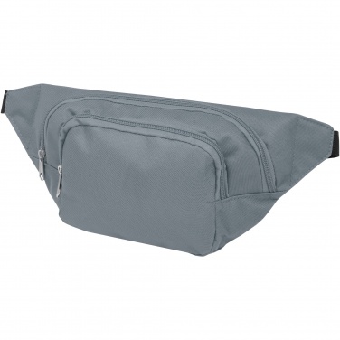 Logotrade promotional gift image of: Santander fanny pack with two compartments