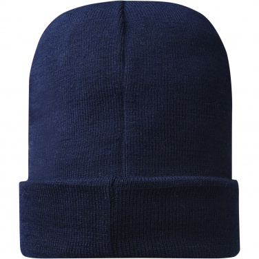 Logotrade promotional merchandise photo of: Hale Polylana® beanie