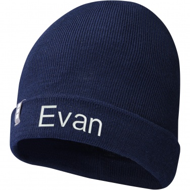 Logotrade promotional giveaway image of: Hale Polylana® beanie