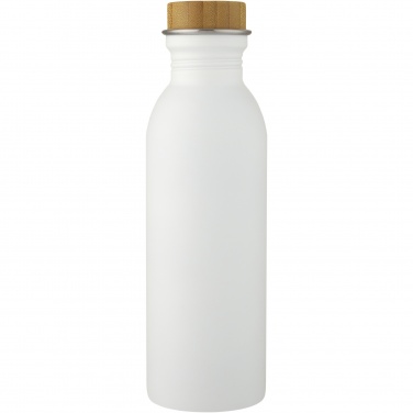 Logo trade advertising products picture of: Kalix 650 ml stainless steel water bottle