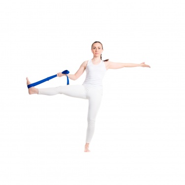 Logo trade promotional merchandise picture of: Virabha RPET yoga strap