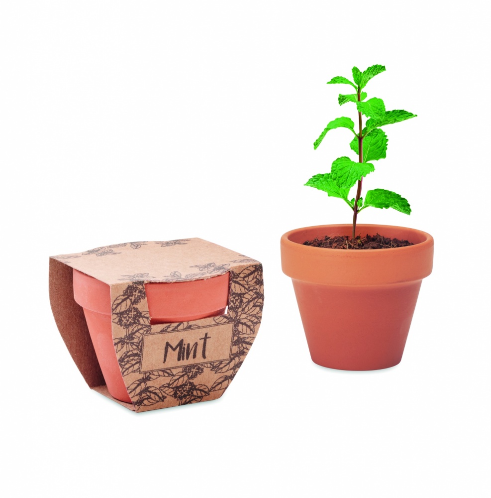Logo trade advertising products picture of: Terracotta pot mint seeds