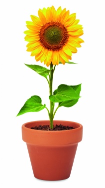 Logo trade promotional merchandise photo of: Terracotta pot 'sunflower'