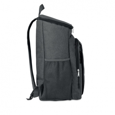 Logotrade promotional merchandise picture of: Outdoor cooler bag 600D RPET