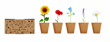 Logotrade promotional merchandise picture of: Flowers growing kit