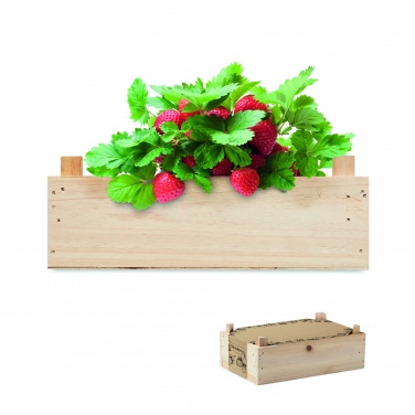 Logotrade promotional giveaways photo of: Strawberry kit in wooden crate
