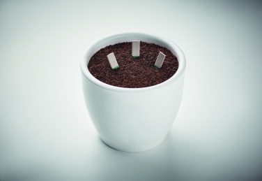 Logotrade promotional product picture of: Herb seeds sticks