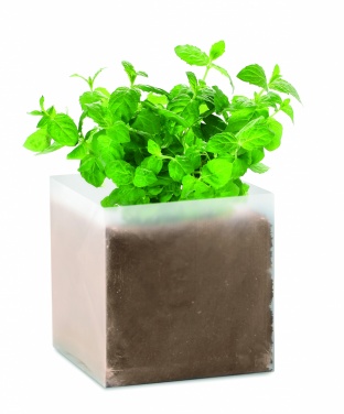 Logo trade promotional item photo of: Compost with seeds "MINT"
