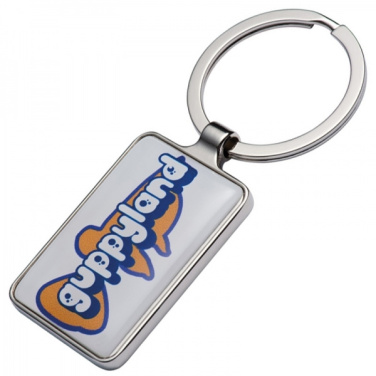 Logo trade promotional giveaway photo of: Keyring FLINT