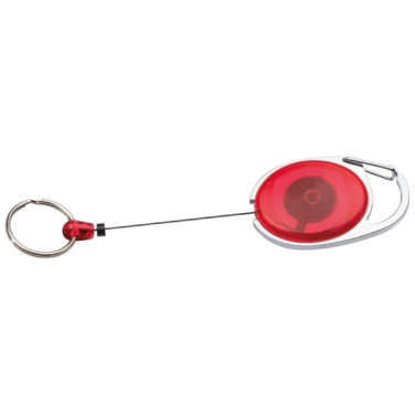 Logo trade corporate gift photo of: Ski-Pass with Carabiner Keyring EMPLOYEE