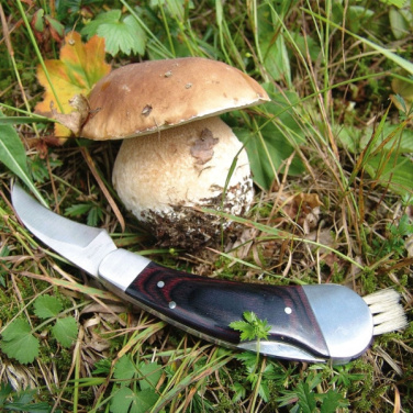 Logotrade promotional item image of: Mushroom knife PILZ Schwarzwolf