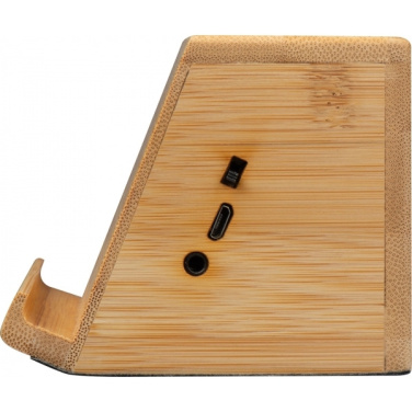Logo trade promotional merchandise image of: Induction loudspeaker NUREMBERG
