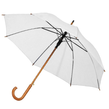 Logotrade promotional giveaways photo of: Automatic Umbrella HASSELT