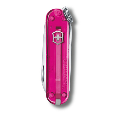 Logotrade business gift image of: Pocket knife Classic SD transparent Victorinox