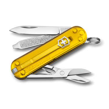 Logotrade promotional merchandise photo of: Pocket knife Classic SD transparent Victorinox