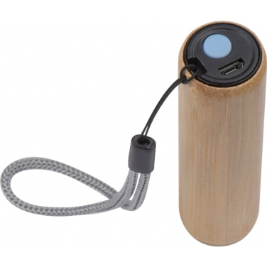 Logotrade promotional merchandise picture of: Torch DUNDEE