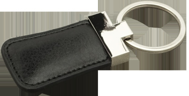Logo trade promotional giveaway photo of: Keyring 91109500