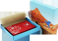 Box (24x16,5x2,8cm) 986117