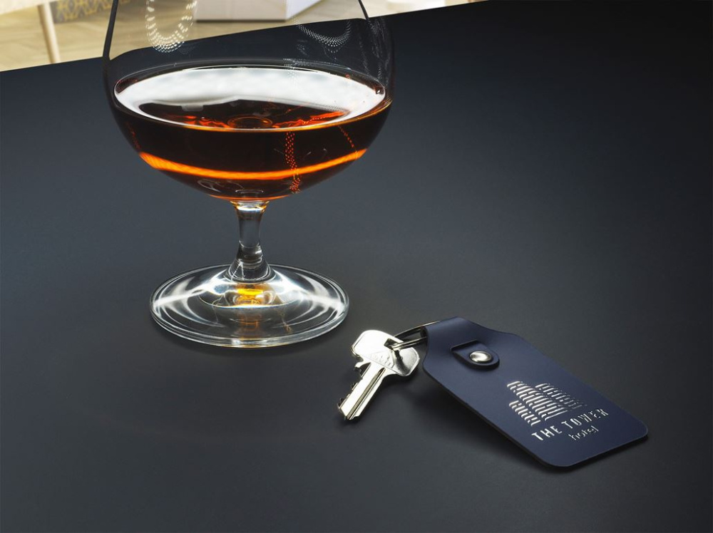 Logo trade corporate gift photo of: Keyring 1200094