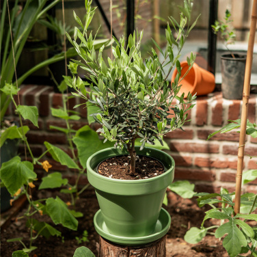 Logotrade business gifts photo of: Treemore Letterbox Trees Olive