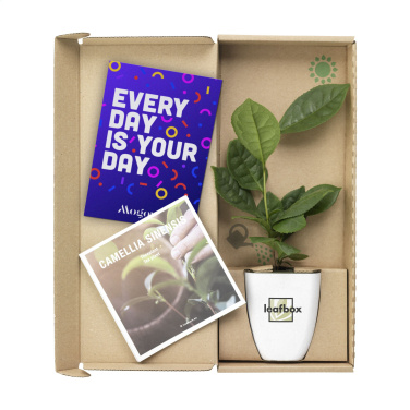 Logo trade corporate gift photo of: Treemore Letterbox Trees Tea plant