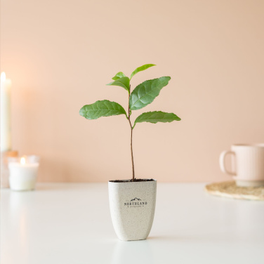Logo trade promotional gifts image of: Treemore Letterbox Trees Tea plant