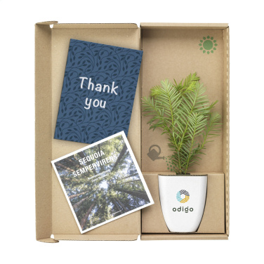 Logotrade promotional gift picture of: Treemore Letterbox Trees Giant Sequoia