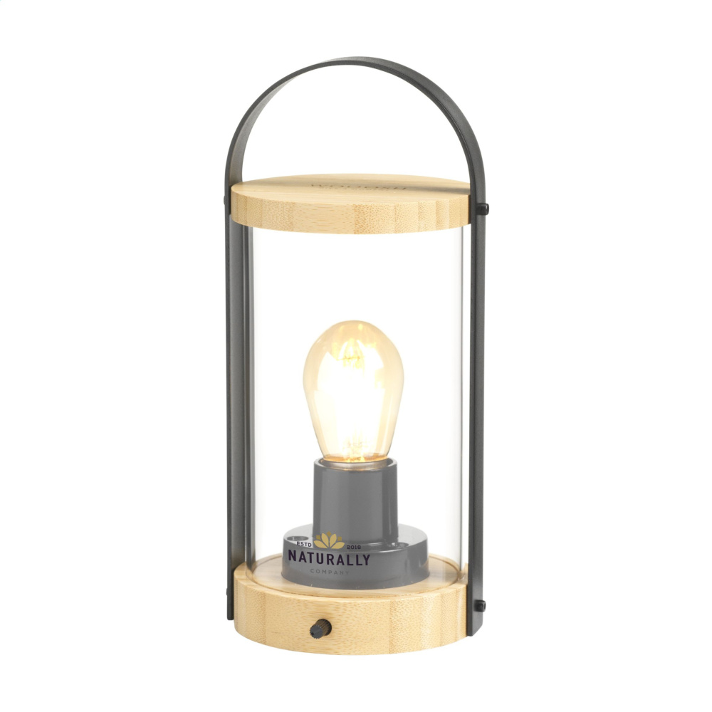 Logotrade advertising product image of: Wooosh Batam Light rechargable lamp