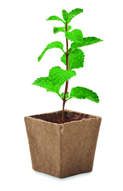 Logotrade business gifts photo of: Mint seeds growing kit