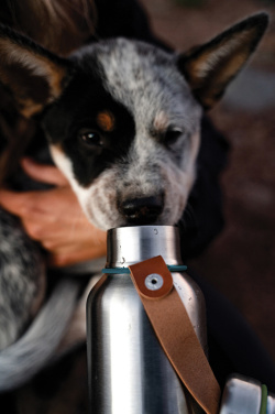 Logotrade promotional item picture of: Black+Blum Insulated Water Bottle Small 500ml