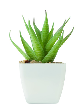 Logo trade promotional products image of: Mini artificial plant