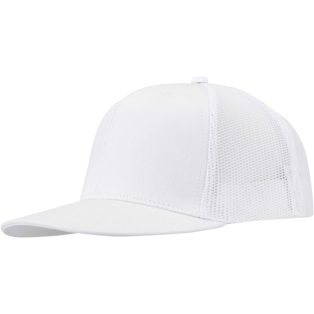 Logo trade promotional merchandise picture of: Drift Snapback 260 g/m2 6 panel cap