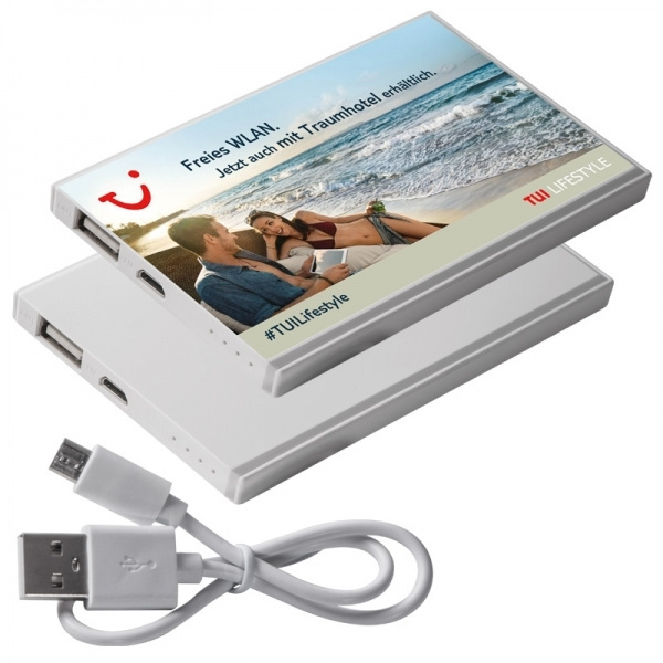 Logotrade meened pilt: Akupank PINEVILLE 2200 mAh
