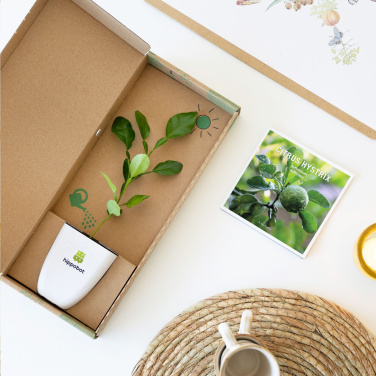Logotrade ärikingitused pilt: Treemore Letterbox Trees Kaffir Lemon