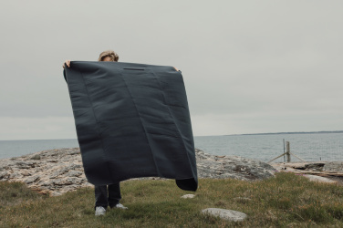 Logo trade ärikingi pilt: VINGA Baltimore RCS piknikutekk