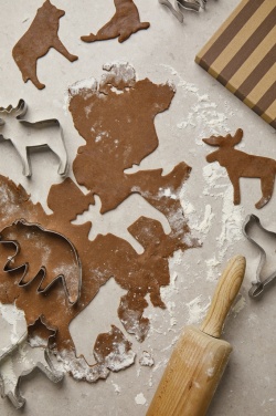Logo trade liikelahjat mainoslahjat kuva: VINGA Nordic big 5 piparkakkumuotit