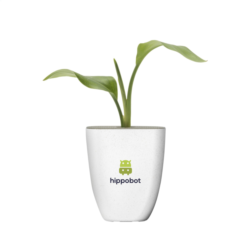 Logotrade mainoslahjat ja liikelahjat tuotekuva: Treemore Letterbox Trees Bird of Paradise -kasvi