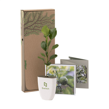Logotrade mainoslahjat ja liikelahjat tuotekuva: Treemore Letterbox Trees Kaffir Lemon