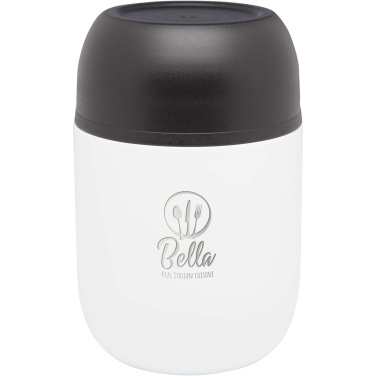 Logotrade verslo dovanos nuotrauka: „Supo“ 480 ml talpos dvigubų sienelių perdirbto nerūdijančio plieno pietų indas